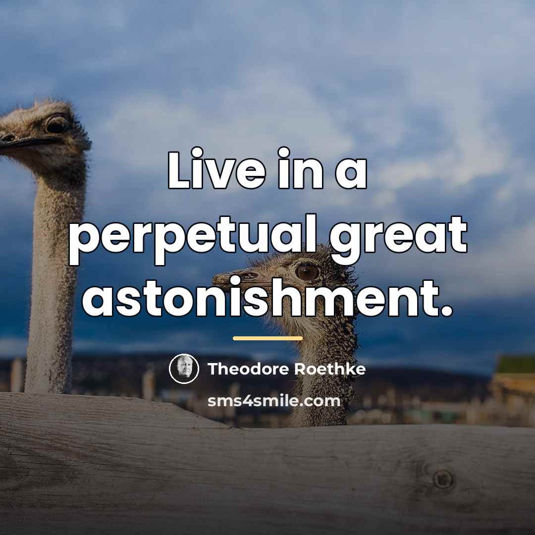 “Live in a perpetual great astonishment.…” quote by Theodore Roethke