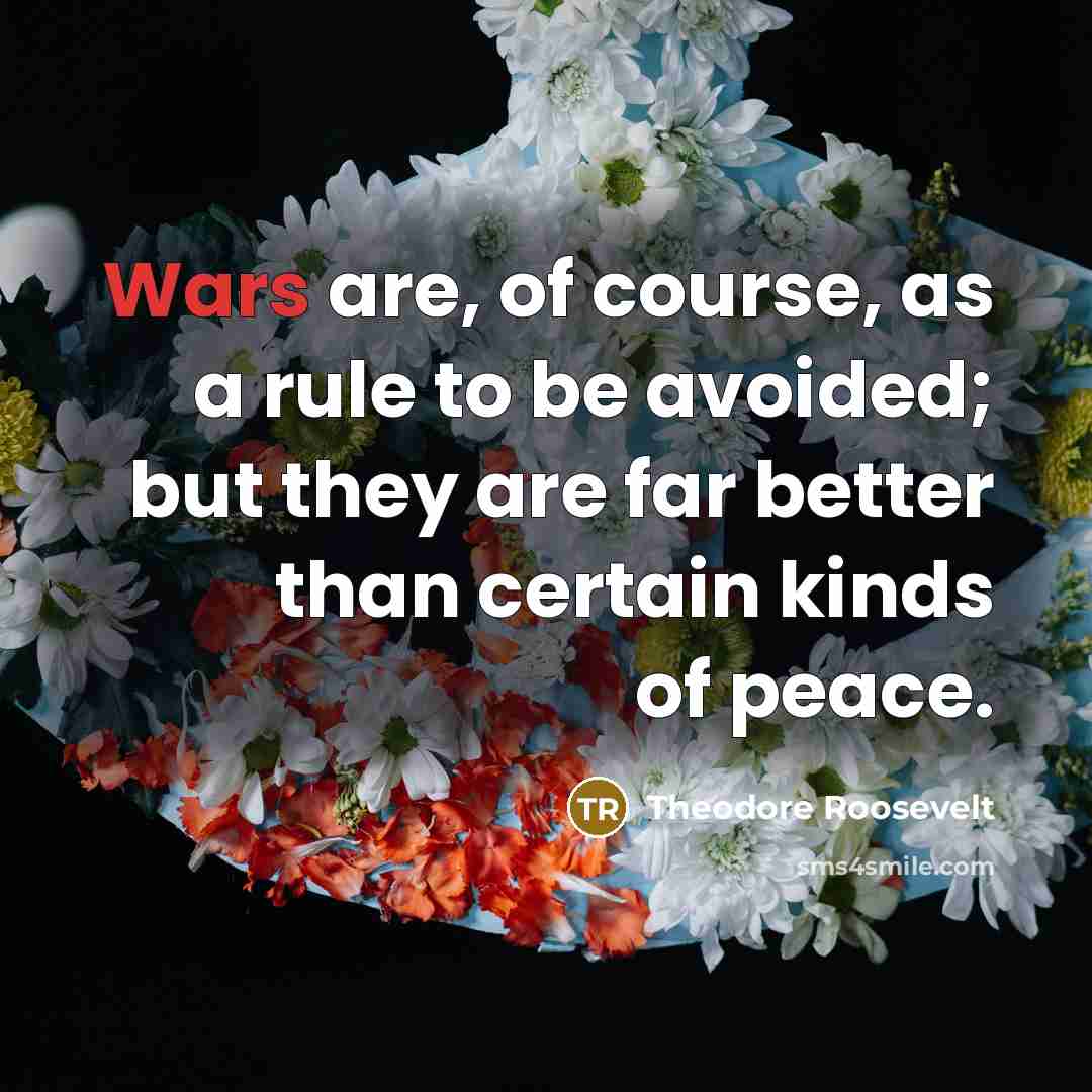 “Wars are, of course, as a rule to be avoided;…” quote by Theodore Roosevelt