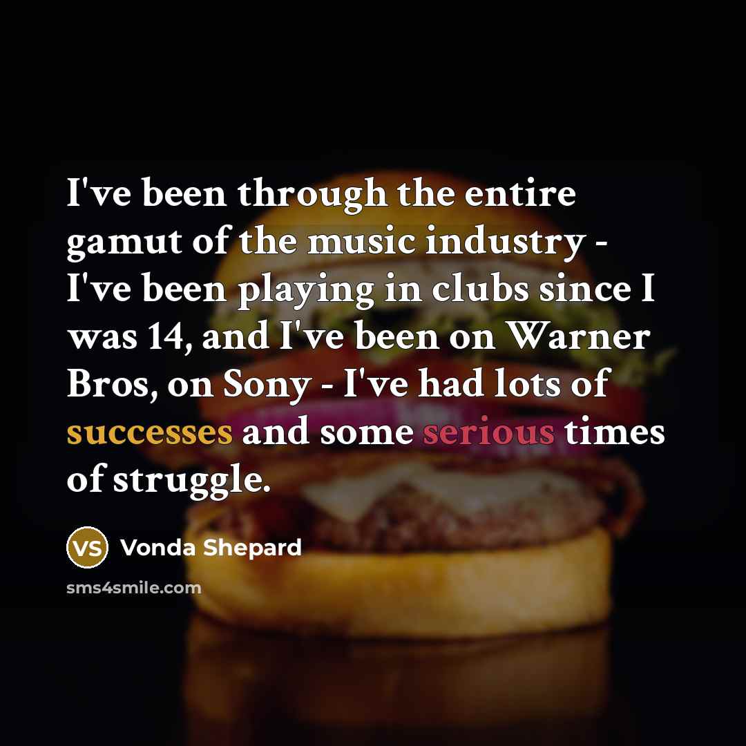 “I've been through the entire gamut of the music industry…” quote by Vonda Shepard