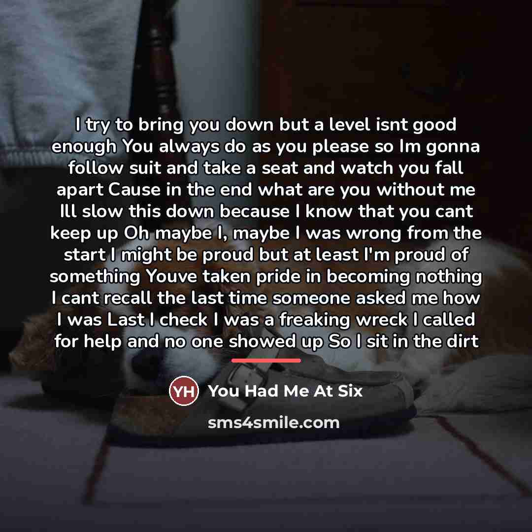 “I try to bring you down but a level isnt…” quote by You Had Me At Six