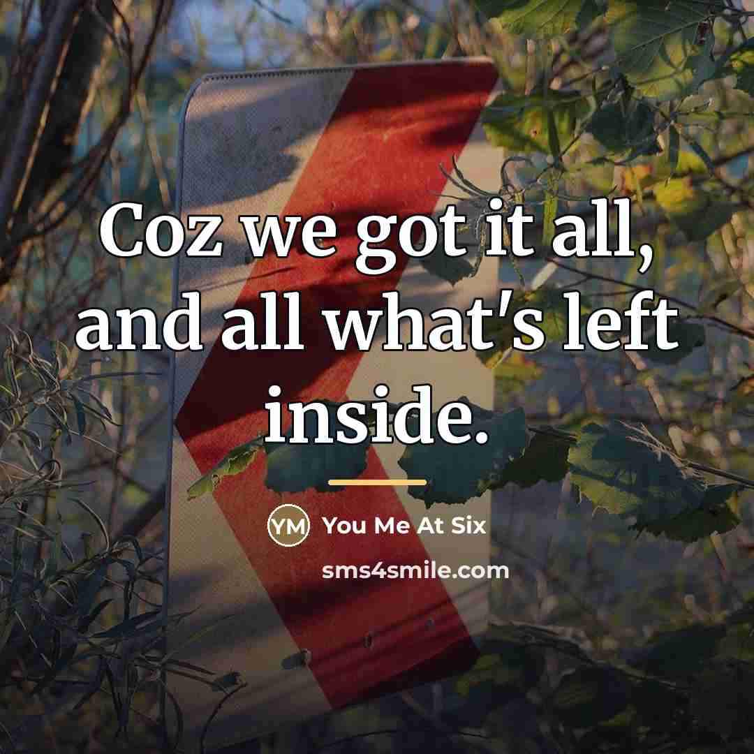 “Coz we got it all, and all what's left inside.…” quote by You Me At Six
