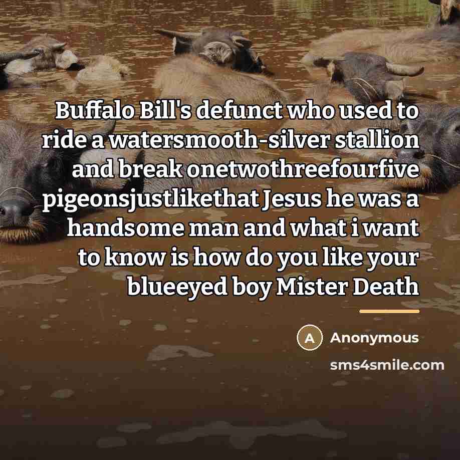 “Buffalo Bill's defunct who used to ride a watersmooth-silver stallion…” quote by Anonymous