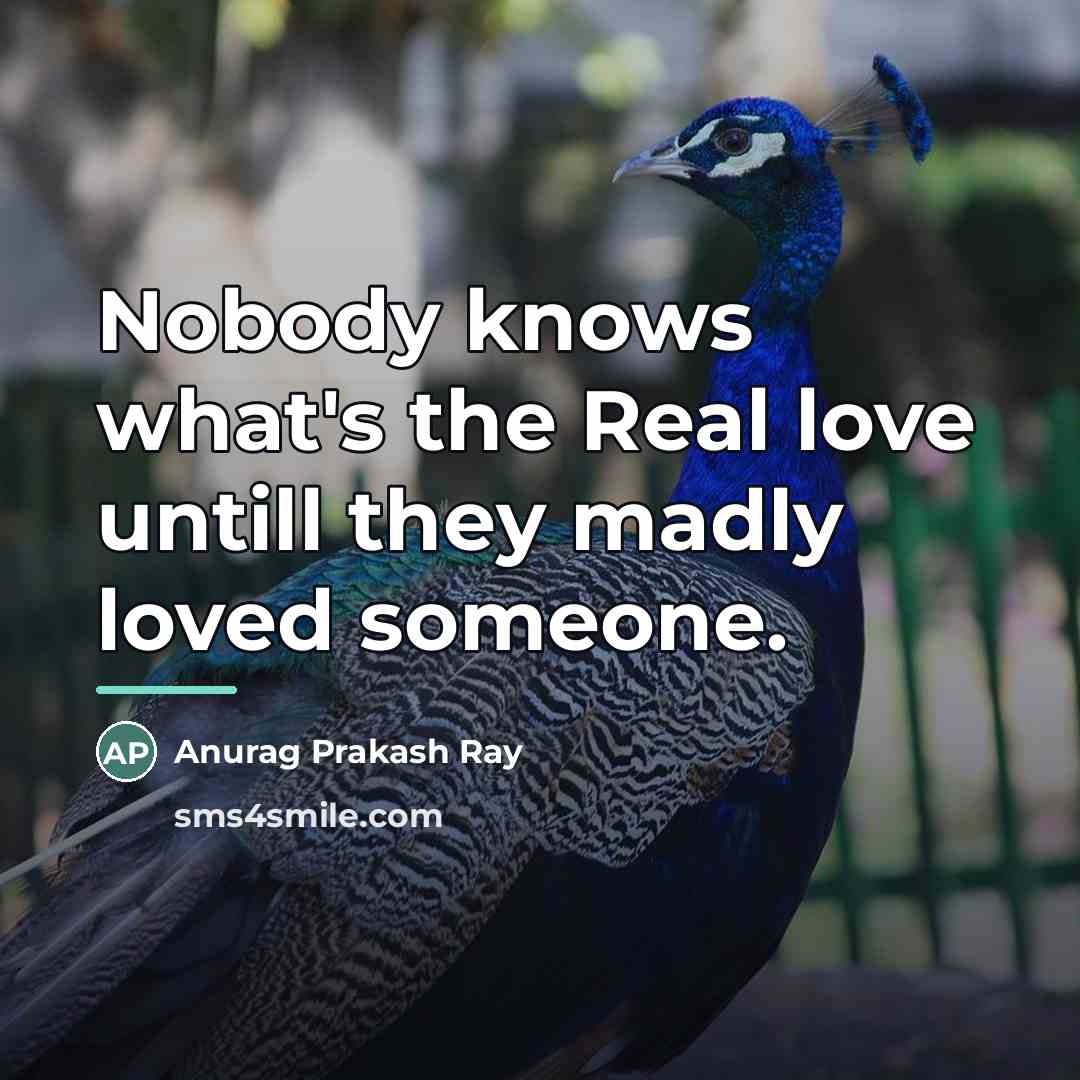 “Nobody knows what's the Real love untill they madly loved…” quote by Anurag Prakash Ray