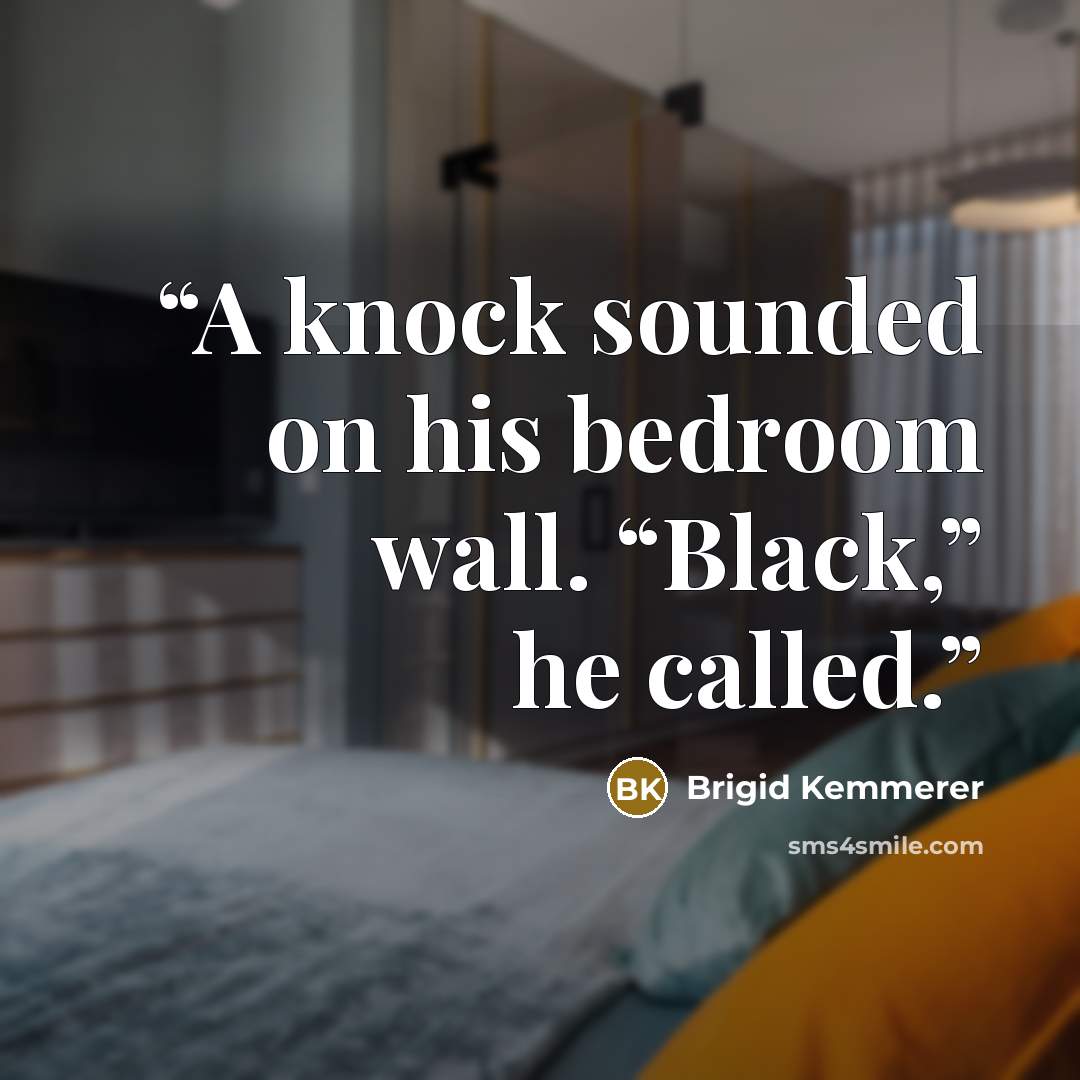 “A knock sounded on his bedroom wall. “Black,” he called.” quote by Brigid Kemmerer