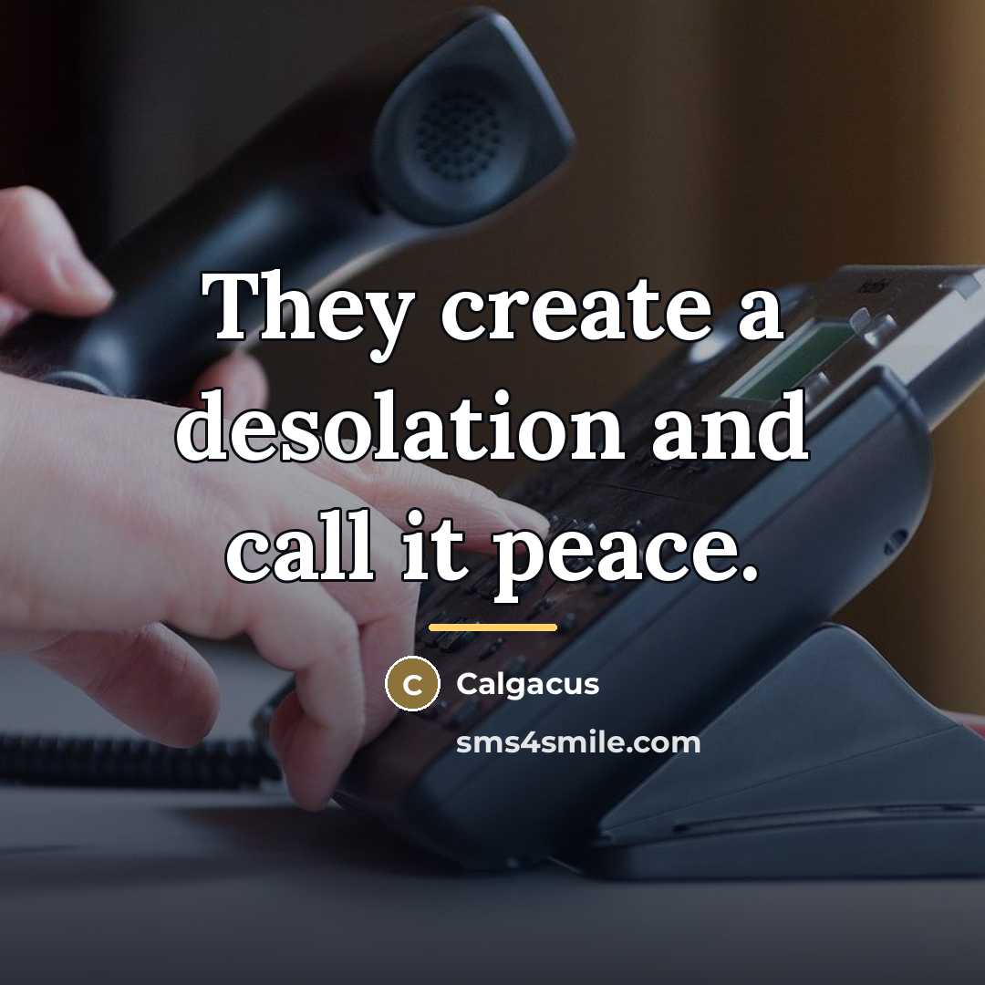 “They create a desolation and call it peace.…” quote by Calgacus