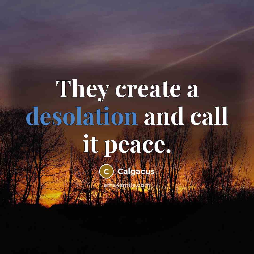 “They create a desolation and call it peace.” quote by Calgacus