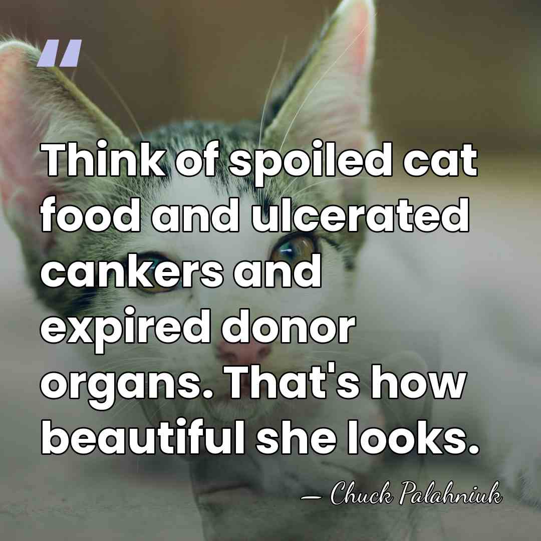 Think of spoiled cat food and ulcerated cankers and expired donor organs.&hellip; - Chuck Palahniuk
