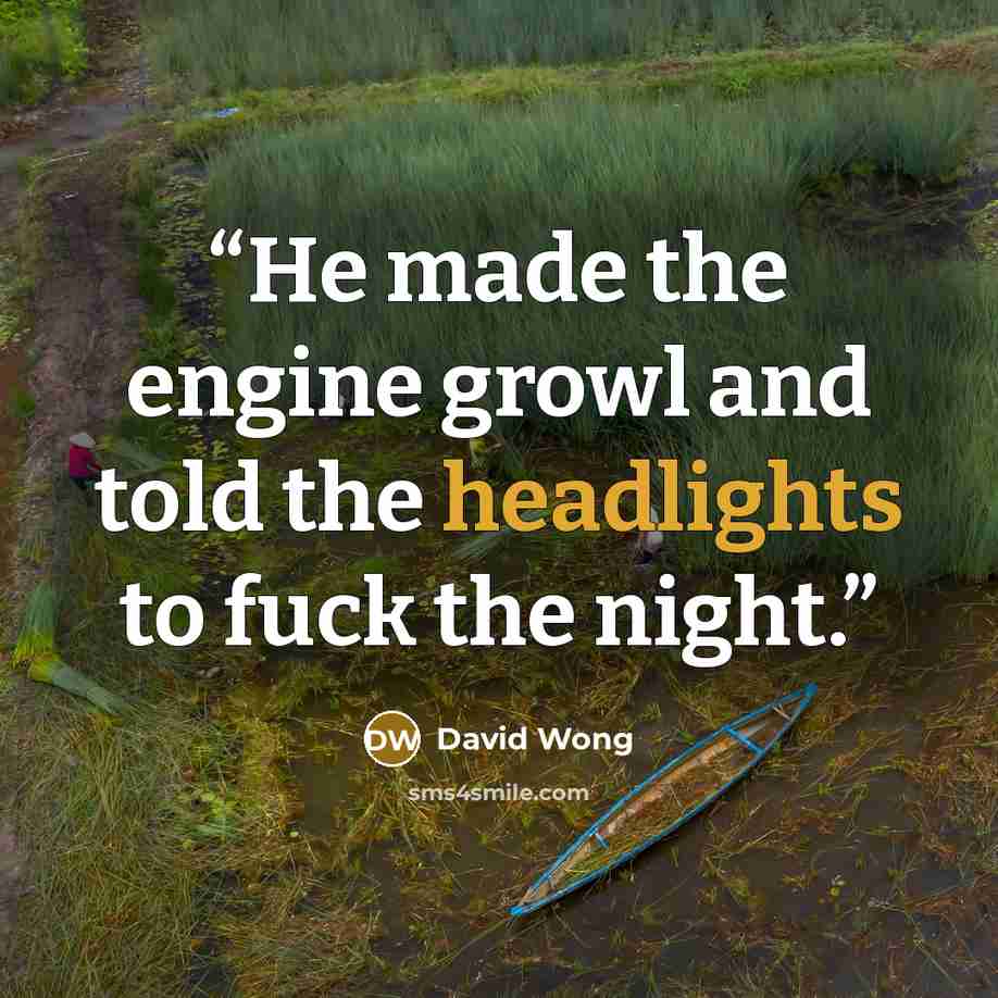“He made the engine growl and told the headlights to fuck the night.” quote by David Wong