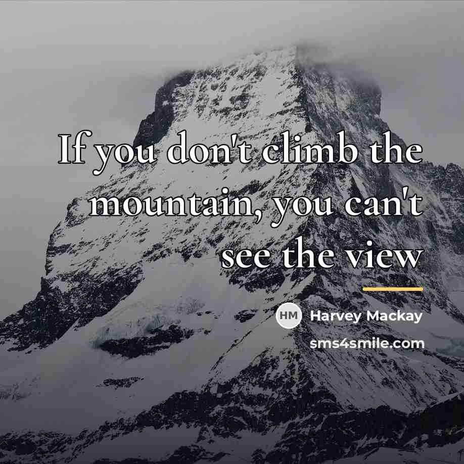 “If you don't climb the mountain, you can't see the…” quote by Harvey Mackay