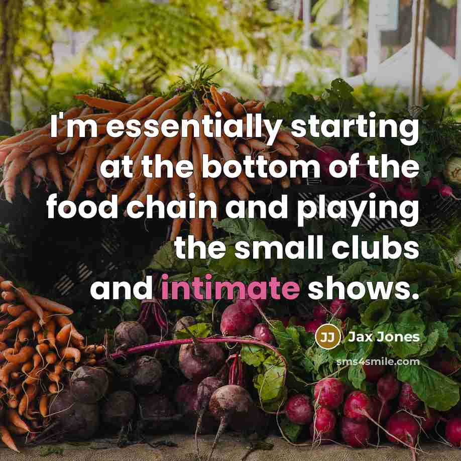 “I'm essentially starting at the bottom of the food chain…” quote by Jax Jones
