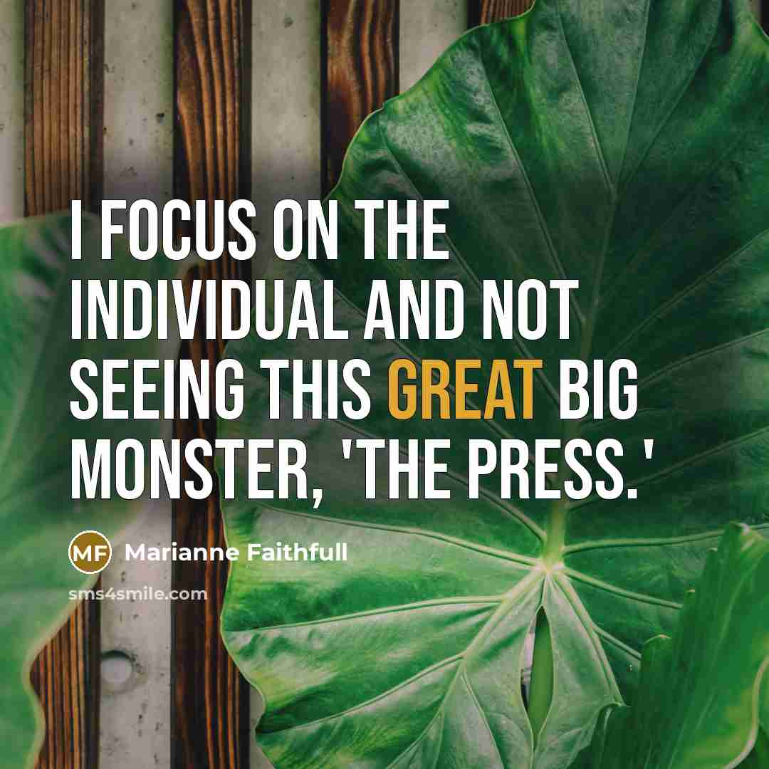 “I focus on the individual and not seeing this great…” quote by Marianne Faithfull