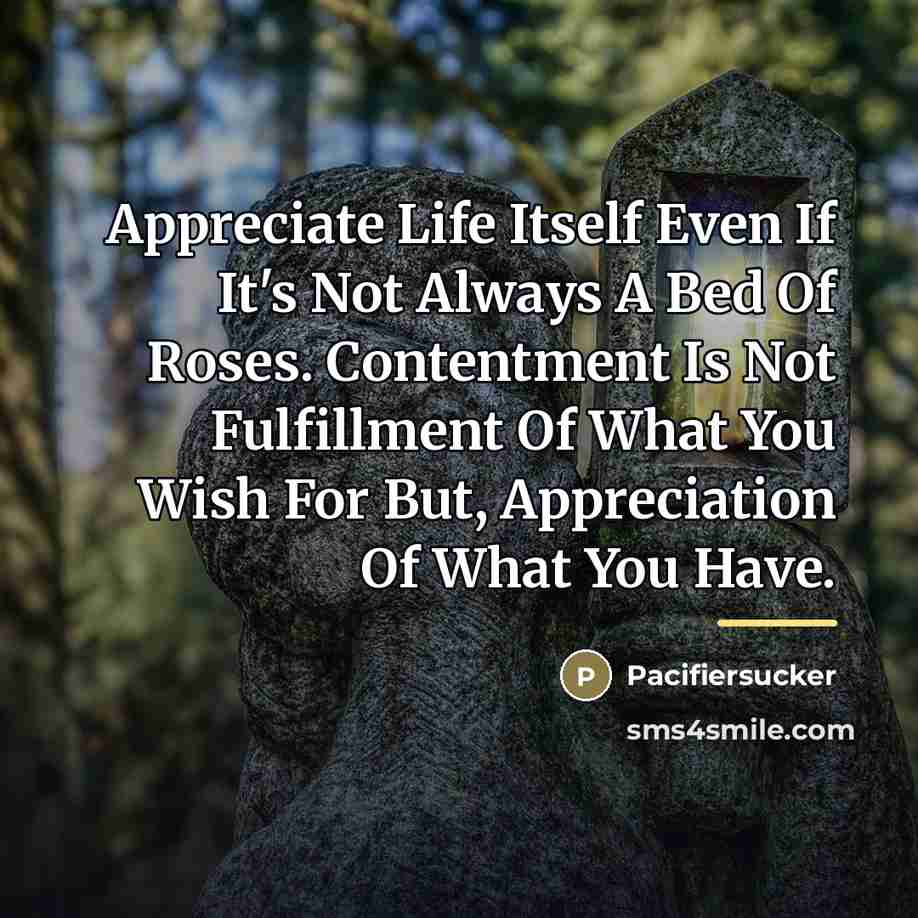 “Appreciate Life Itself Even If It's Not Always A Bed…” quote by Pacifiersucker
