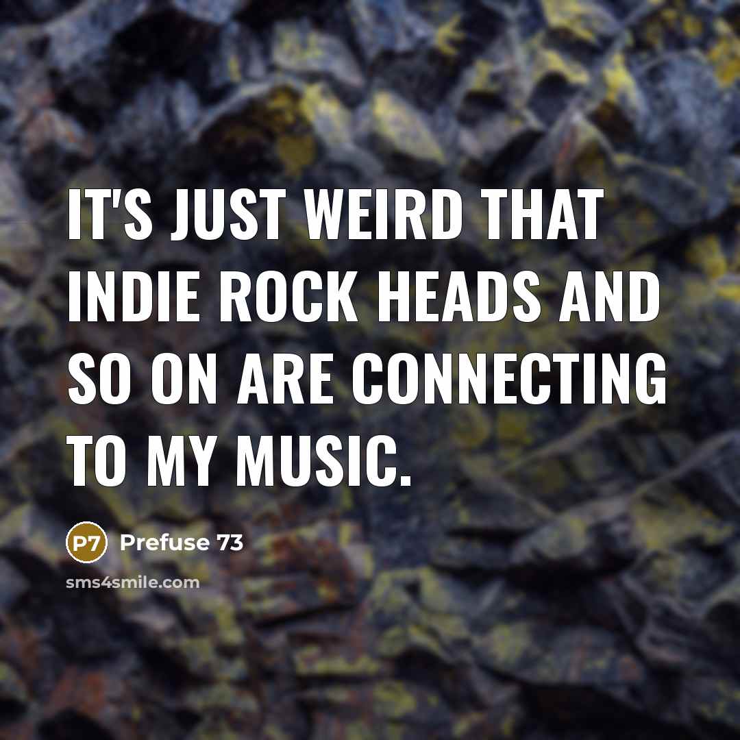 “It's just weird that indie rock heads and so on…” quote by Prefuse 73