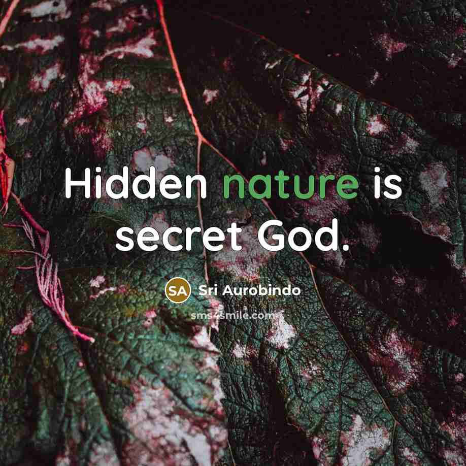 “Hidden nature is secret God.…” quote by Sri Aurobindo