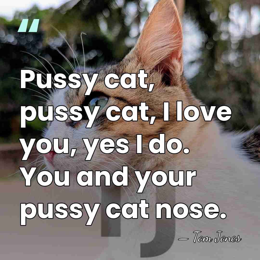 Pussy cat, pussy cat, I love you, yes I do. You and&hellip; - Tom Jones