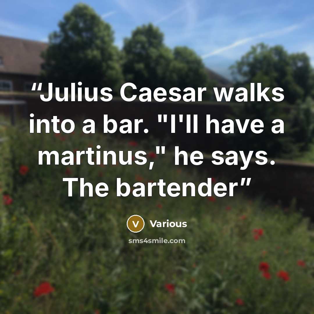 “Julius Caesar walks into a bar. "I'll have a martinus," he says. The bartender” quote by Various