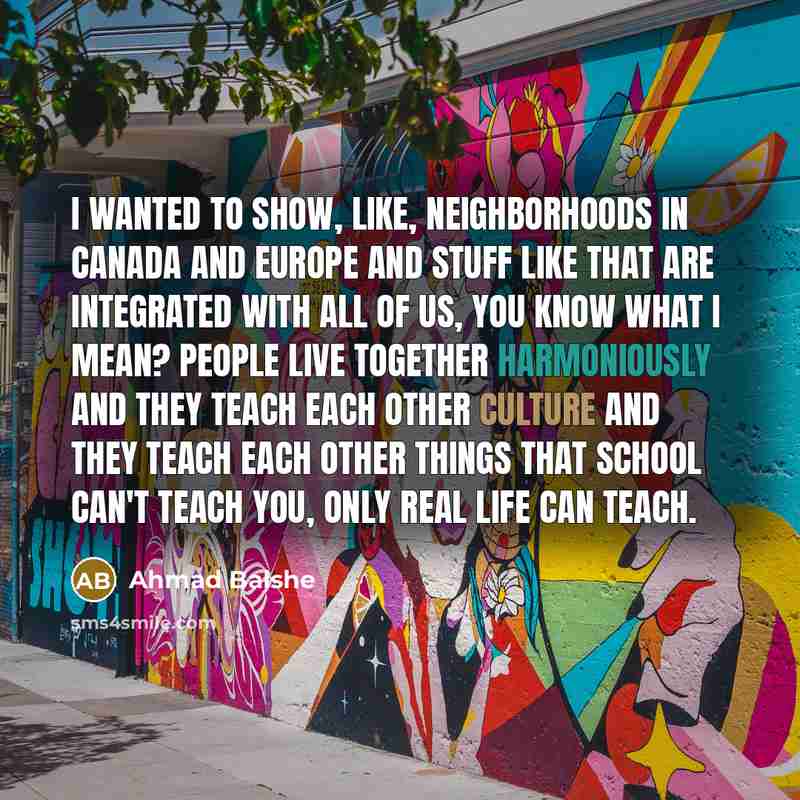 “I wanted to show, like, neighborhoods in Canada and Europe…” quote by Ahmad Balshe