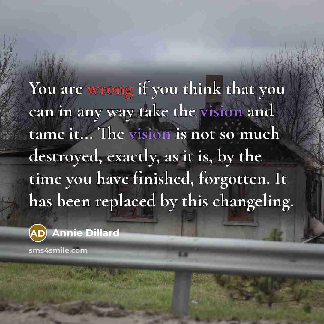 “You are wrong if you think that you can in…” quote by Annie Dillard