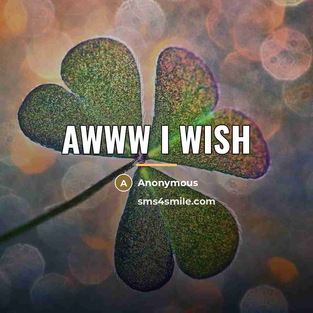 “Awww I wish…” quote by Anonymous