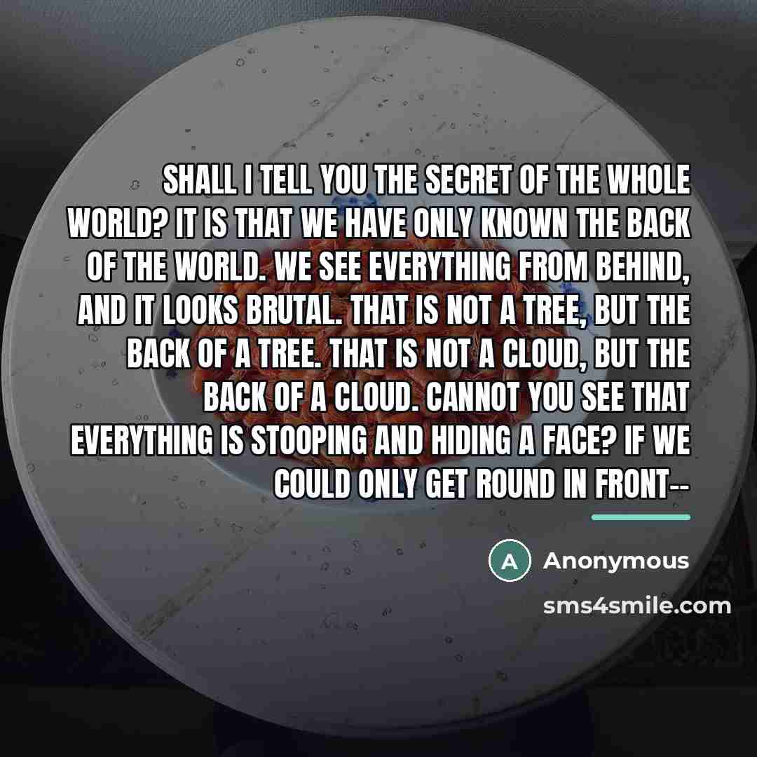 “Shall I tell you the secret of the whole world?…” quote by Anonymous