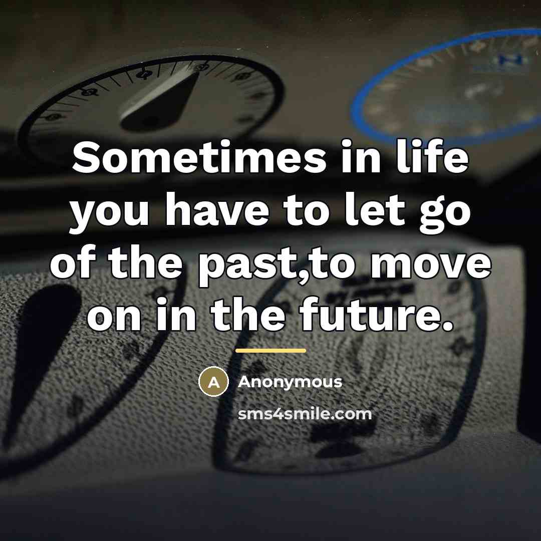 “Sometimes in life you have to let go of the…” quote by Anonymous