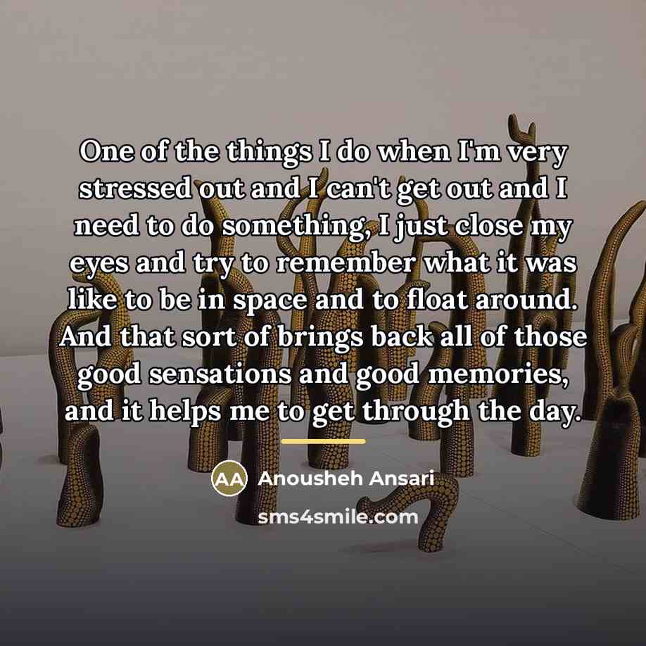 “One of the things I do when I'm very stressed…” quote by Anousheh Ansari
