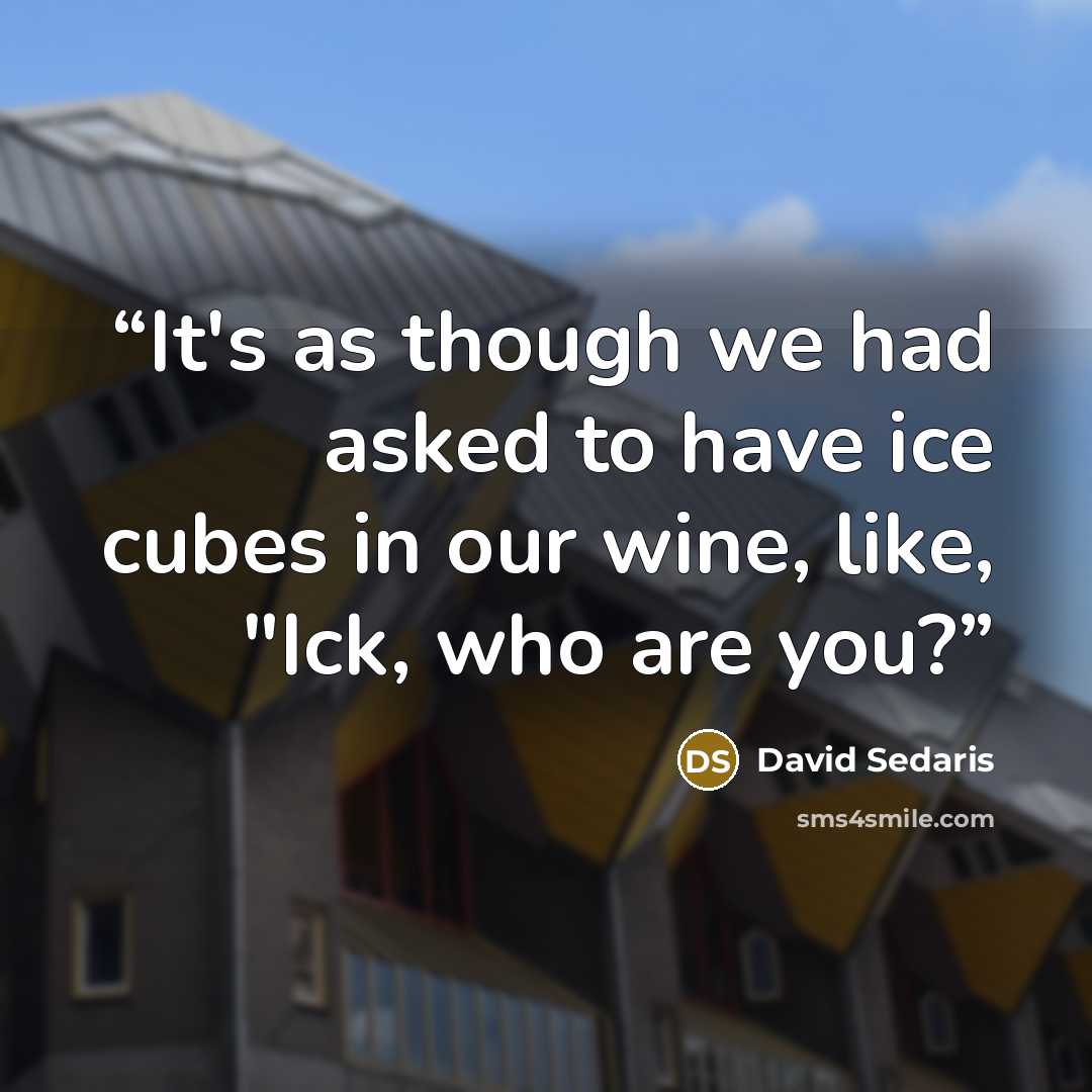 “It's as though we had asked to have ice cubes in our wine, like, "Ick, who are you?” quote by David Sedaris