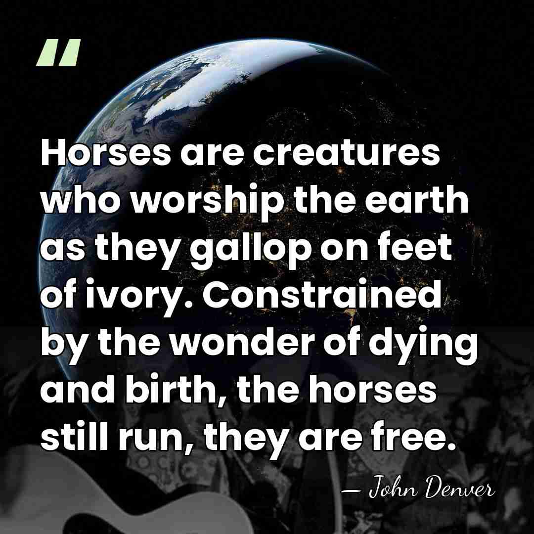 Horses are creatures who worship the earth as they gallop on feet&hellip; - John Denver