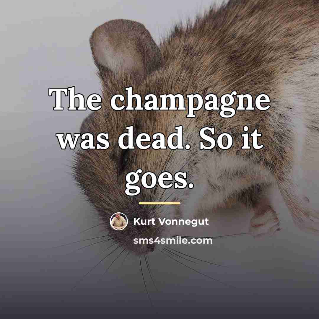 “The champagne was dead. So it goes.…” quote by Kurt Vonnegut