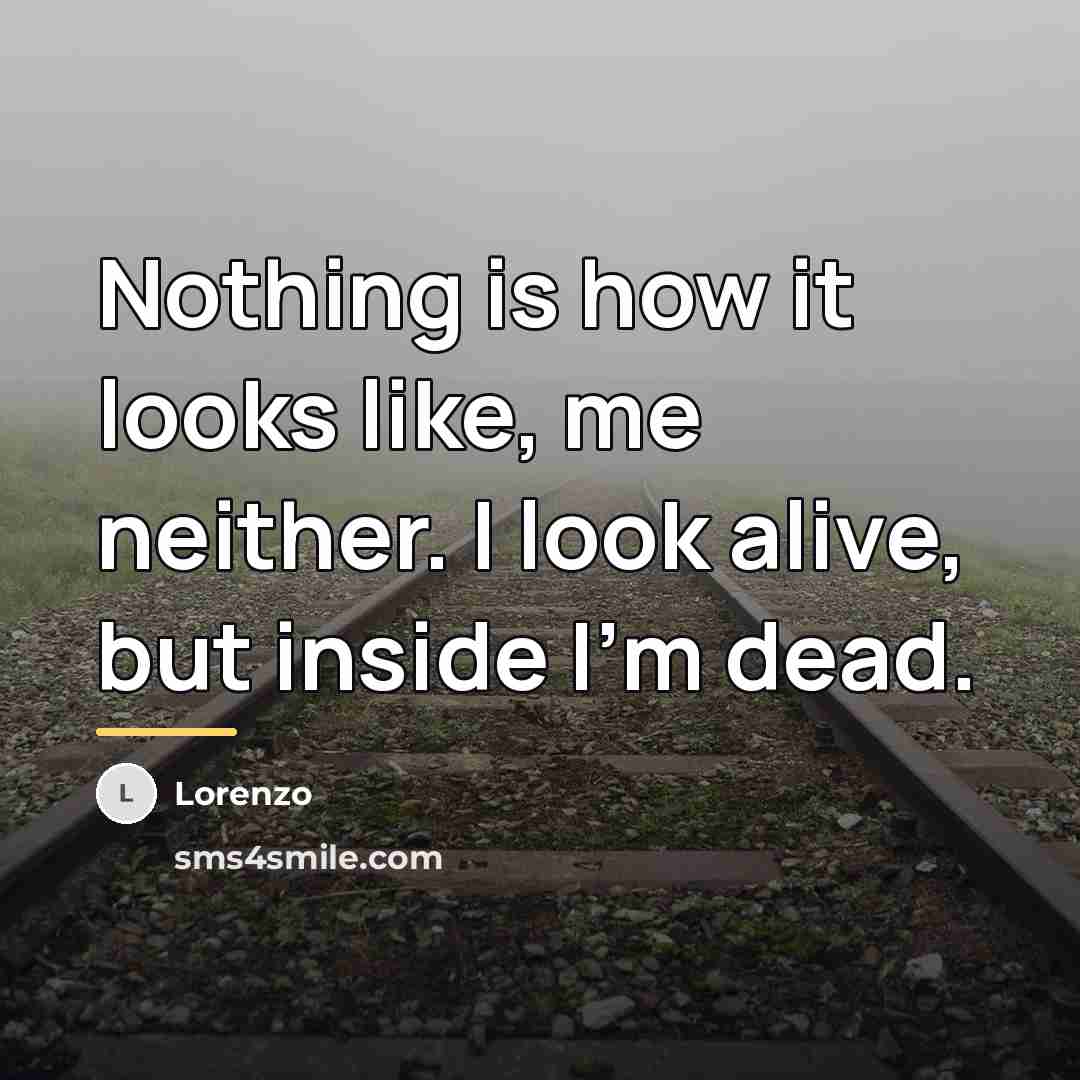 “Nothing is how it looks like, me neither. I look…” quote by Lorenzo