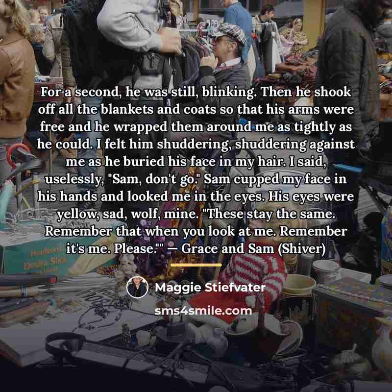 “For a second, he was still, blinking. Then he shook…” quote by Maggie Stiefvater