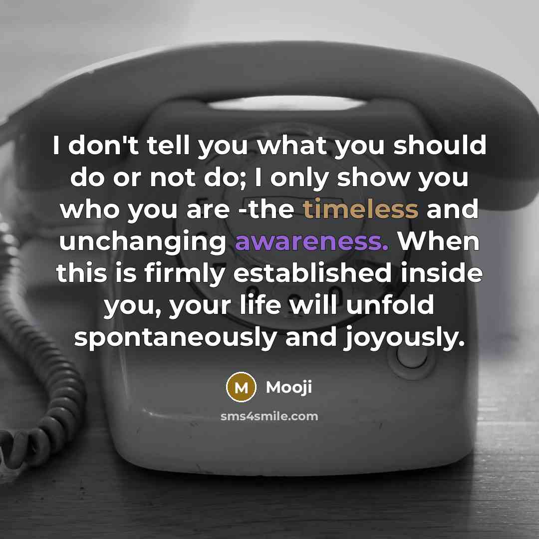 “I don't tell you what you should do or not…” quote by Mooji