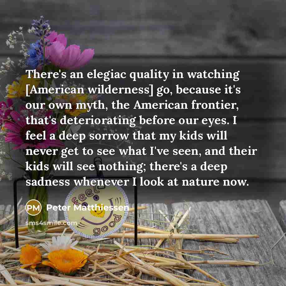 “There's an elegiac quality in watching [American wilderness] go, because it's our own myth, the American frontier, that's deteriorating before our eyes. I feel a deep sorrow that my kids will never get to see what I've seen, and their kids will see nothing; there's a deep sadness whenever I look…” quote by Peter Matthiessen