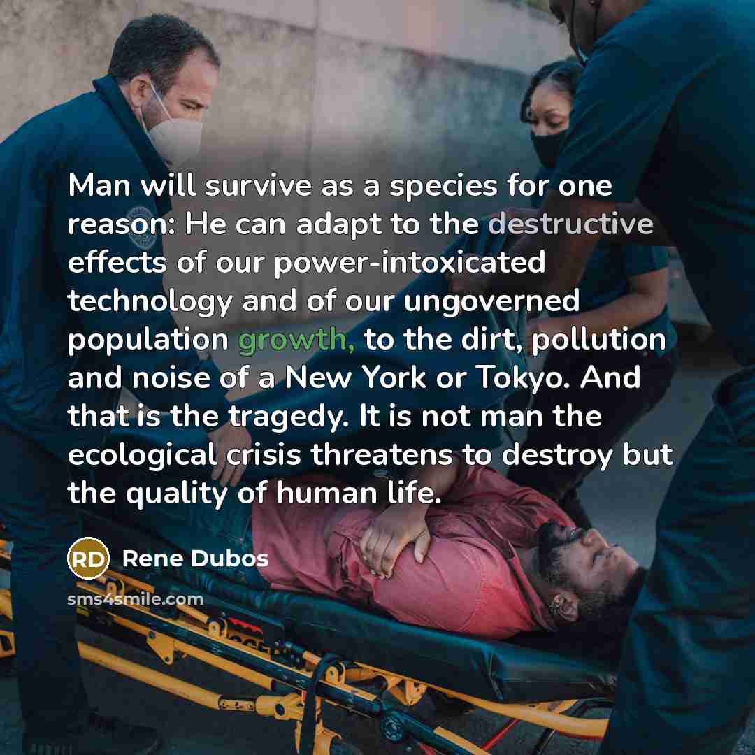 “Man will survive as a species for one reason: He…” quote by Rene Dubos