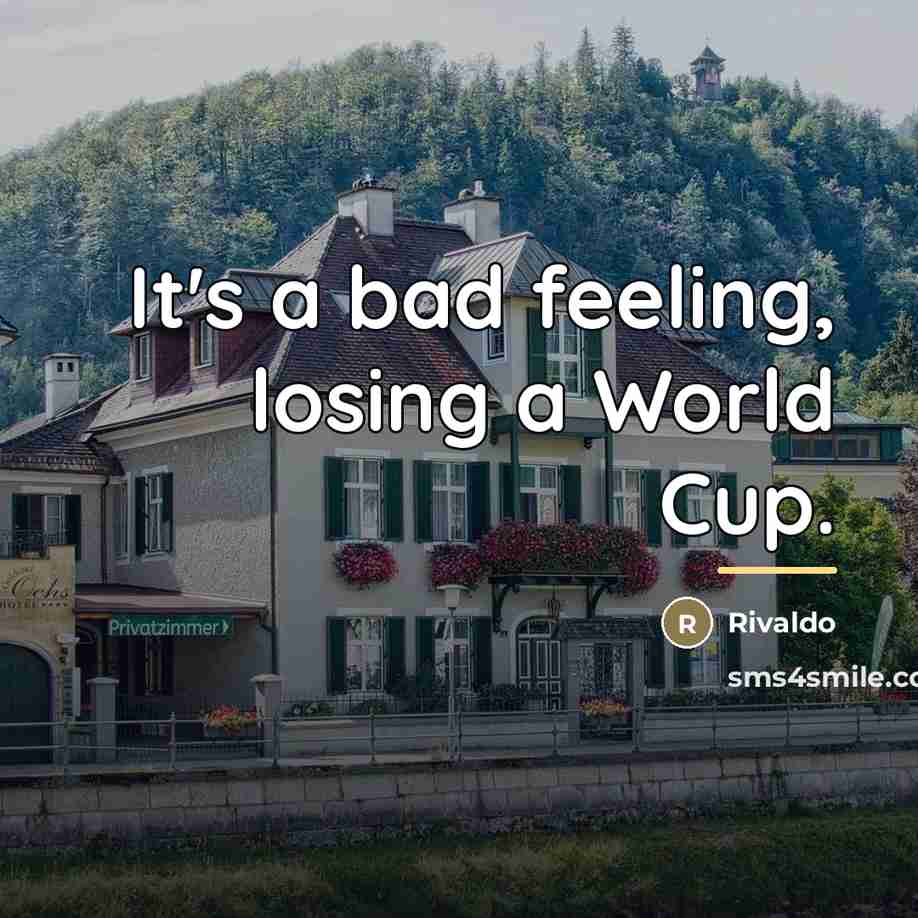 “It's a bad feeling, losing a World Cup.…” quote by Rivaldo