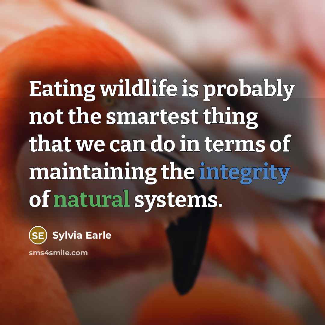 “Eating wildlife is probably not the smartest thing that we…” quote by Sylvia Earle