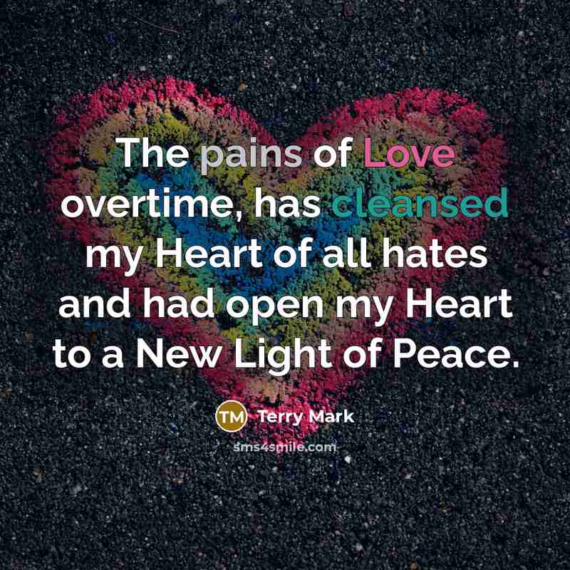 “The pains of Love overtime, has cleansed my Heart of…” quote by Terry Mark