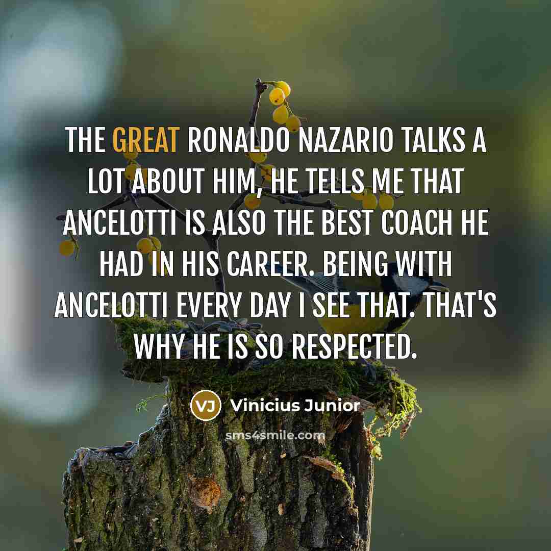 “The great Ronaldo Nazario talks a lot about him, he…” quote by Vinicius Junior