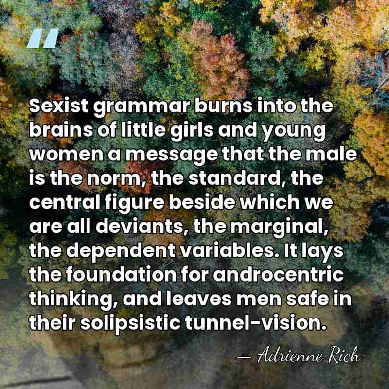 Sexist grammar burns into the brains of little girls and young women&hellip; - Adrienne Rich