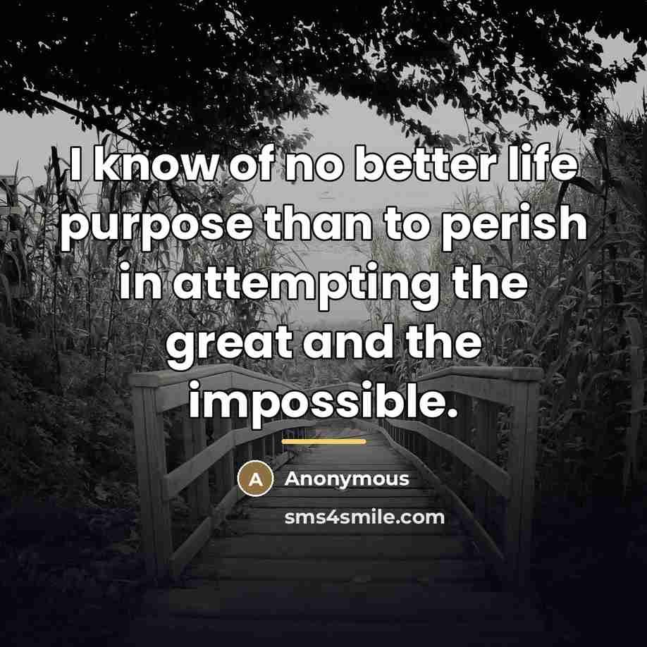 “I know of no better life purpose than to perish…” quote by Anonymous