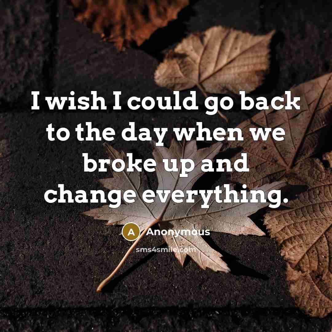 “I wish I could go back to the day when we broke up and change everything.” quote by Anonymous