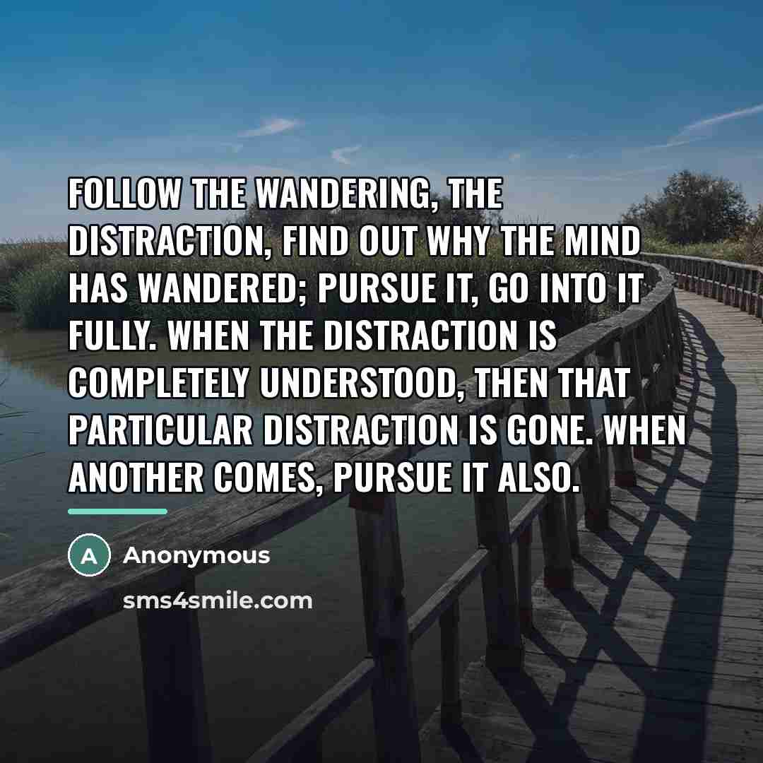 “Follow the wandering, the distraction, find out why the mind…” quote by Anonymous