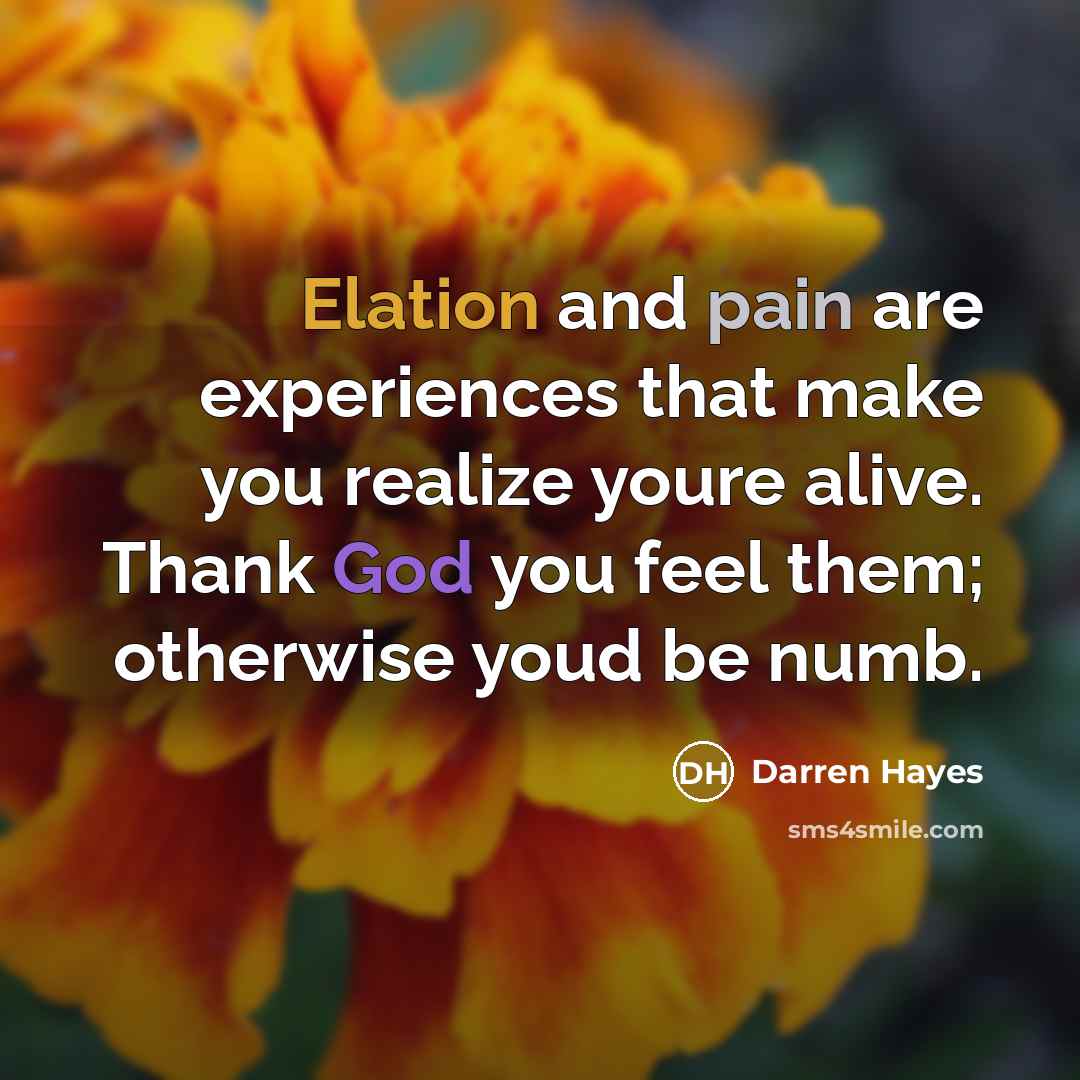 “Elation and pain are experiences that make you realize youre…” quote by Darren Hayes