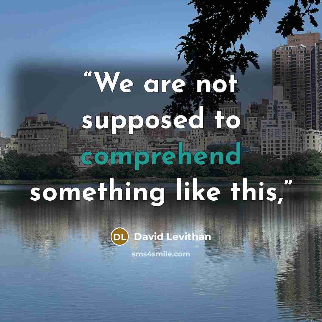 “We are not supposed to comprehend something like this,” quote by David Levithan