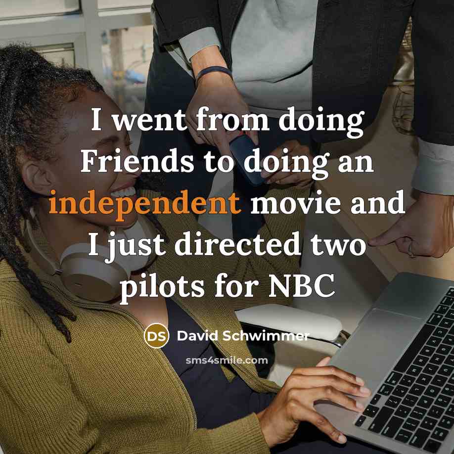 “I went from doing Friends to doing an independent movie…” quote by David Schwimmer