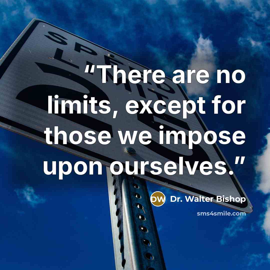 “There are no limits, except for those we impose upon ourselves.” quote by Dr. Walter Bishop
