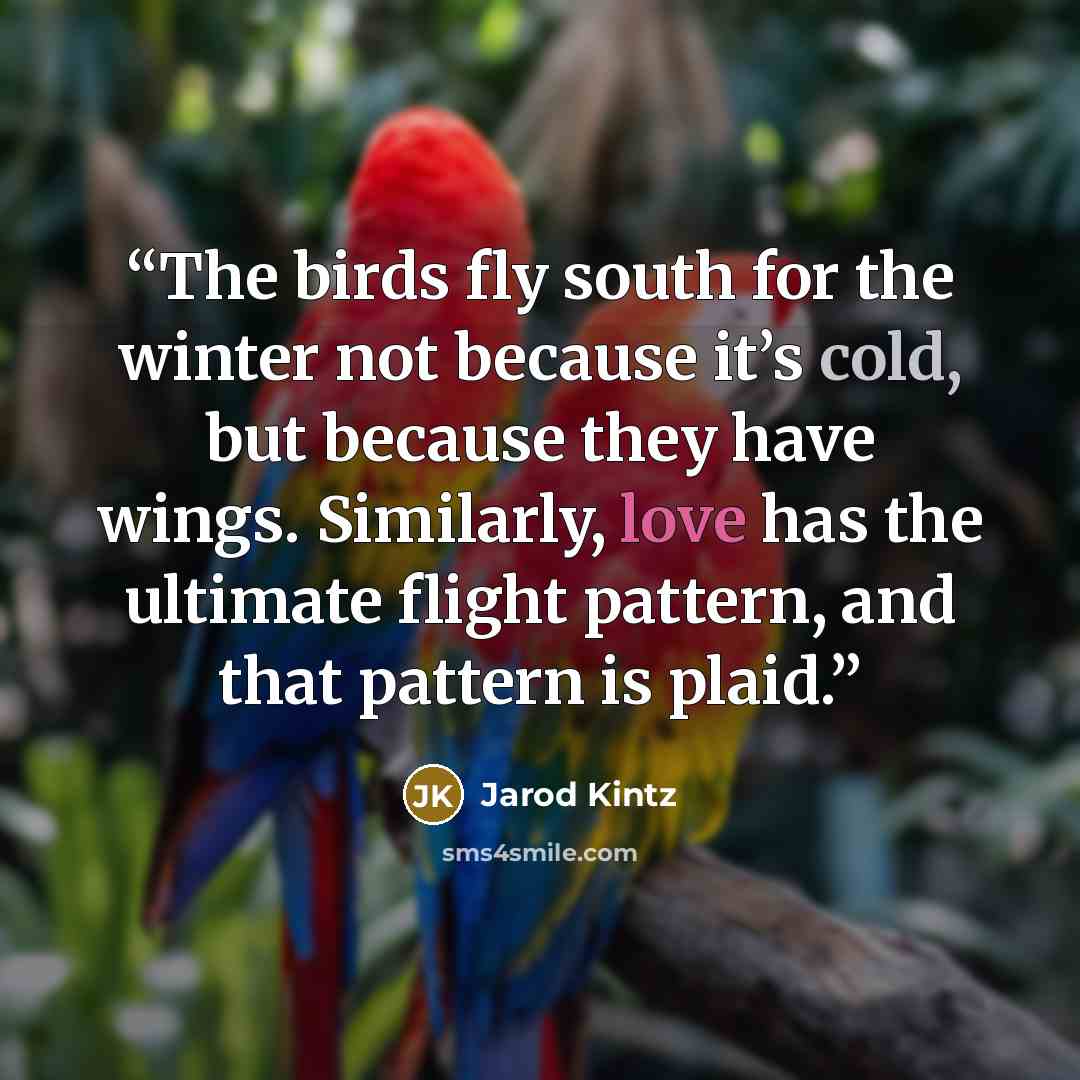 “The birds fly south for the winter not because it’s cold, but because they have wings. Similarly, love has the ultimate flight pattern, and that pattern is plaid.” quote by Jarod Kintz