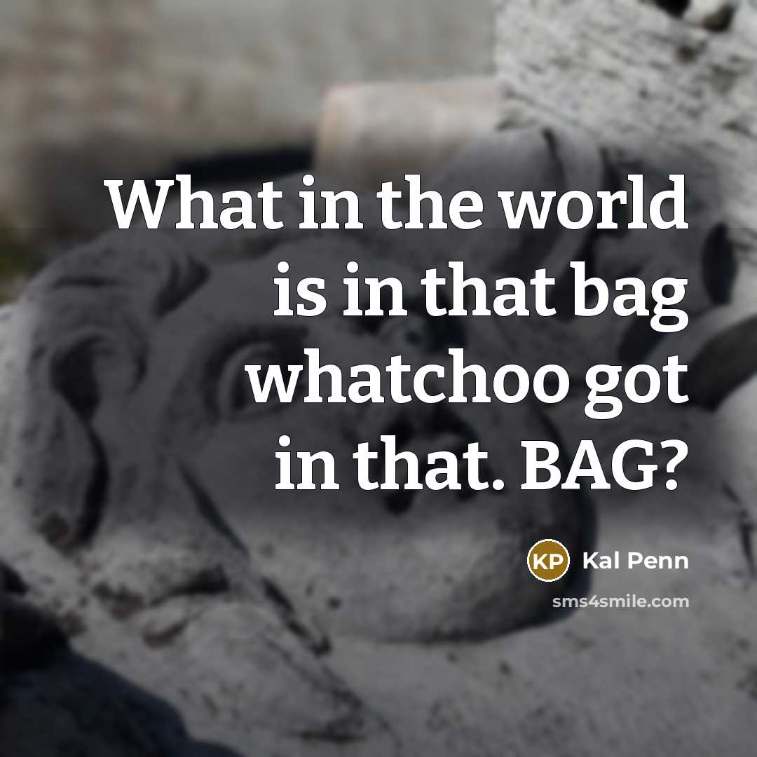 “What in the world is in that bag whatchoo got…” quote by Kal Penn