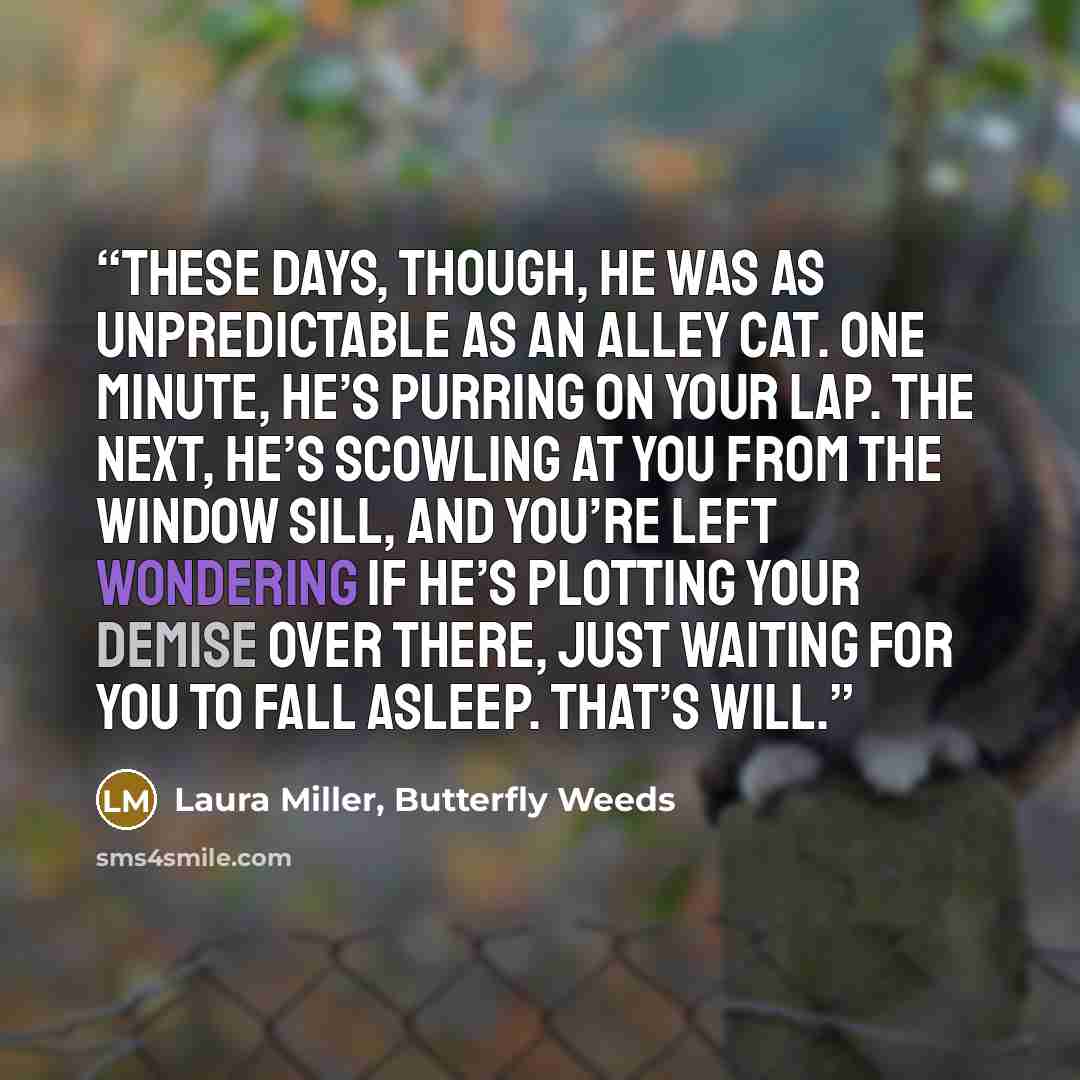 “These days, though, he was as unpredictable as an alley cat. One minute, he’s purring on your lap. The next, he’s scowling at you from the window sill, and you’re left wondering if he’s plotting your demise over there, just waiting for you to fall asleep. That’s Will.” quote by Laura Miller, Butterfly Weeds