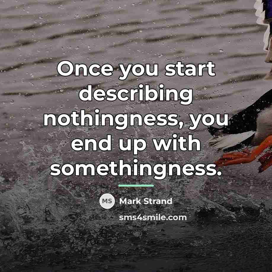 “Once you start describing nothingness, you end up with somethingness.…” quote by Mark Strand